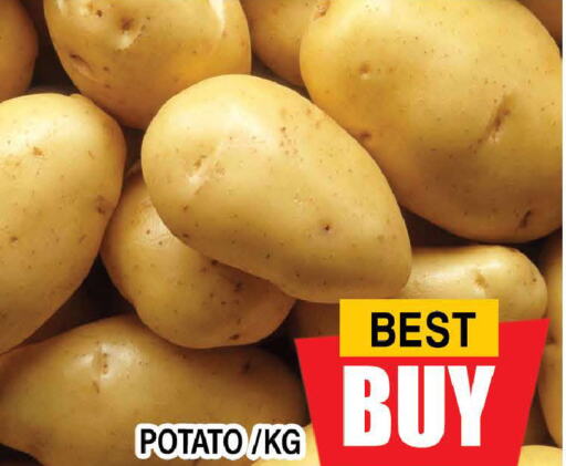  Potato  in المدينة in الإمارات العربية المتحدة , الامارات - دبي