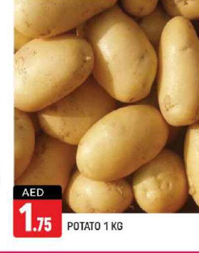  Potato  in شكلان ماركت in الإمارات العربية المتحدة , الامارات - دبي