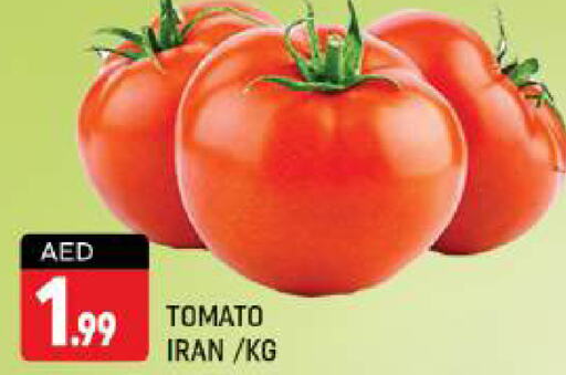  Tomato  in Shaklan  in UAE - Dubai