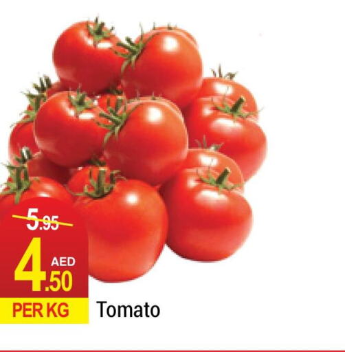  Tomato  in Rich Supermarket in UAE - Dubai