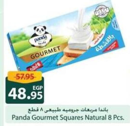 PANDA   in Spinneys  in Egypt - Cairo