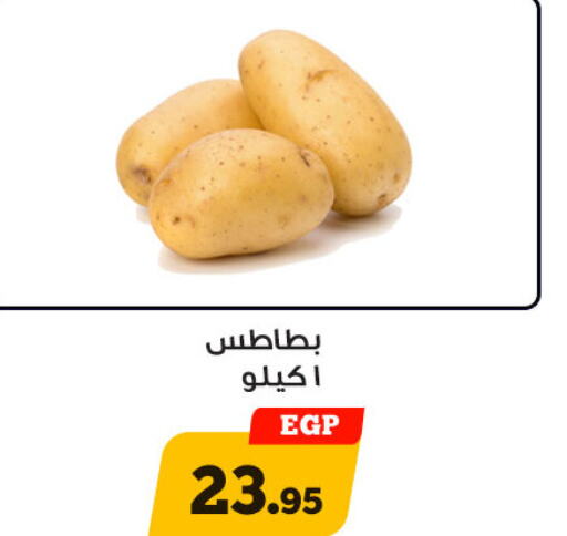  Potato  in أولاد رجب in Egypt - القاهرة