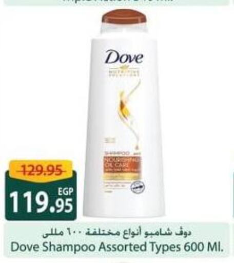 DOVE شامبو / بلسم  in سبينس in Egypt - القاهرة