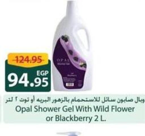  Shower Gel  in سبينس in Egypt - القاهرة