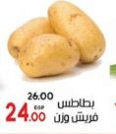  Potato  in جلهوم ماركت in Egypt - القاهرة