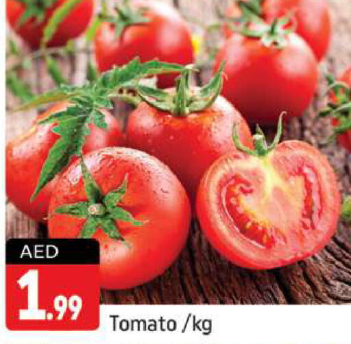  Tomato  in Shaklan  in UAE - Dubai