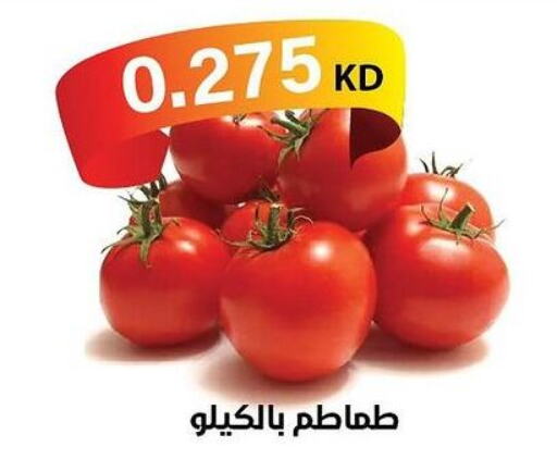  Tomato  in جمعية الشامية والشويخ التعاونية in الكويت - مدينة الكويت