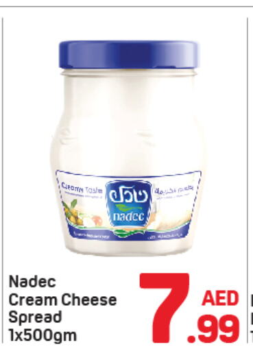 NADEC Cream Cheese  in Day to Day Department Store in UAE - Sharjah / Ajman