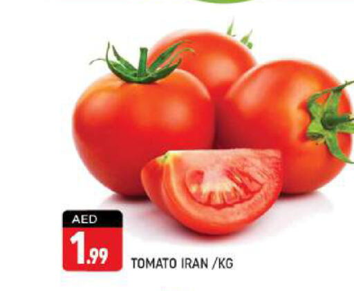  Tomato  in Shaklan  in UAE - Dubai