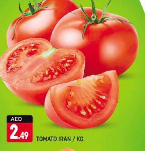  Tomato  in Shaklan  in UAE - Dubai