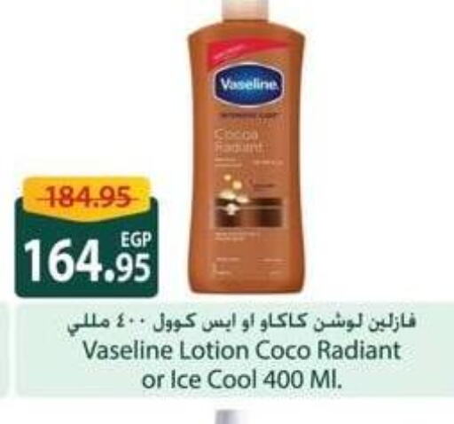 VASELINE   in سبينس in Egypt - القاهرة