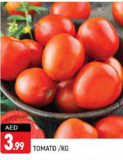  Tomato  in Shaklan  in UAE - Dubai