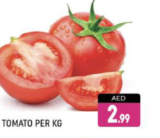  Tomato  in AL MADINA (Dubai) in UAE - Dubai