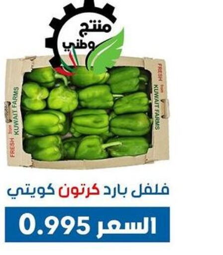  Chilli / Capsicum  in Dahiyat Abdullah Al Salem and Mansourieh Cooperative Society in Kuwait - Kuwait City