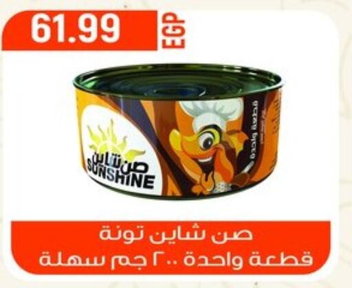  Tuna - Canned  in El mhallawy Sons in Egypt - Cairo