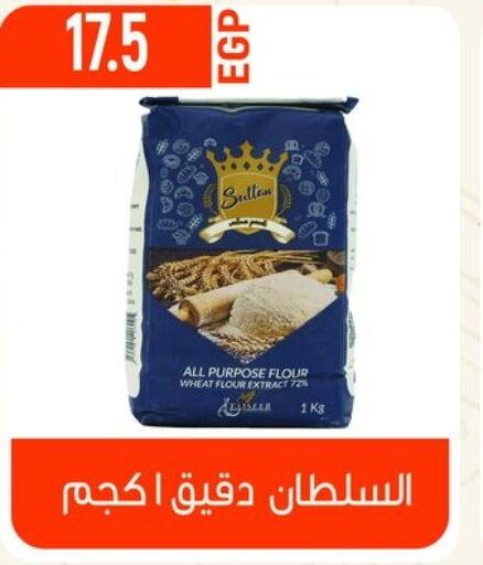  All Purpose Flour  in El mhallawy Sons in Egypt - Cairo