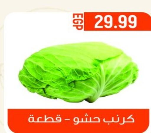  Cabbage  in أولاد المحاوى in Egypt - القاهرة