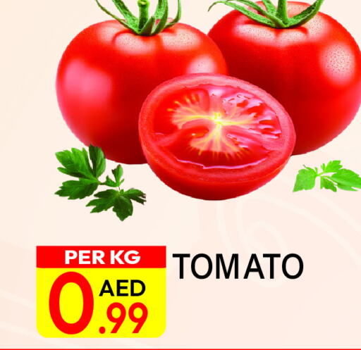  Tomato  in Dream Land in UAE - Dubai