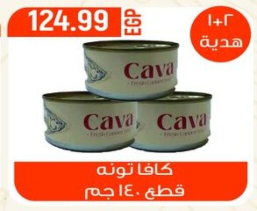  Tuna - Canned  in El mhallawy Sons in Egypt - Cairo