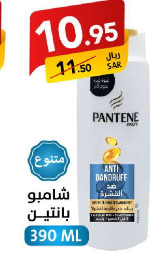 PANTENE Shampoo / Conditioner  in Ala Kaifak in KSA, Saudi Arabia, Saudi - Tabuk