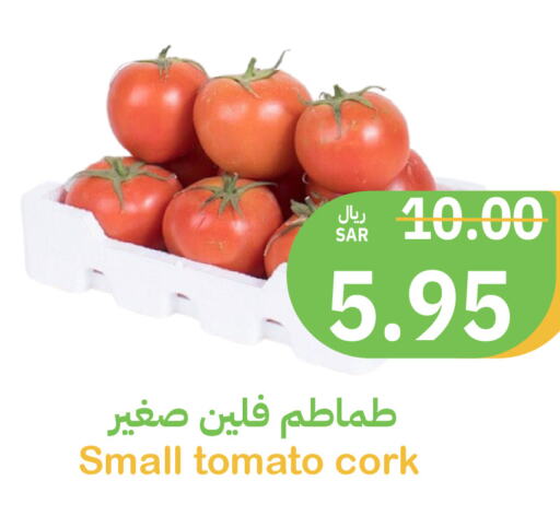  Tomato  in Qateba Markets in KSA, Saudi Arabia, Saudi - Buraidah