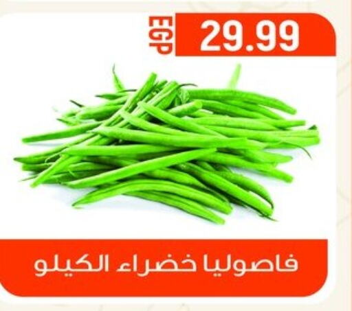  Beans  in أولاد المحاوى in Egypt - القاهرة