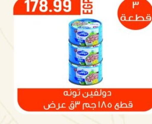  Tuna - Canned  in El mhallawy Sons in Egypt - Cairo