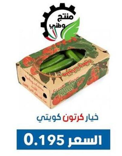  Cucumber  in Dahiyat Abdullah Al Salem and Mansourieh Cooperative Society in Kuwait - Kuwait City