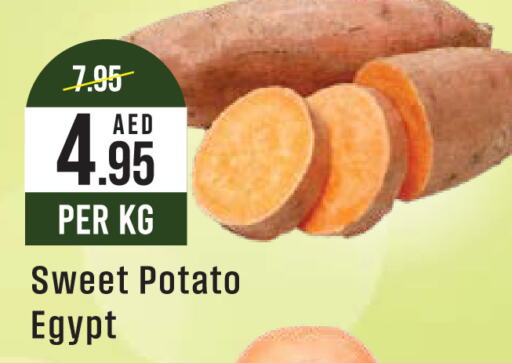  Sweet Potato  in ويست زون سوبرماركت in الإمارات العربية المتحدة , الامارات - دبي