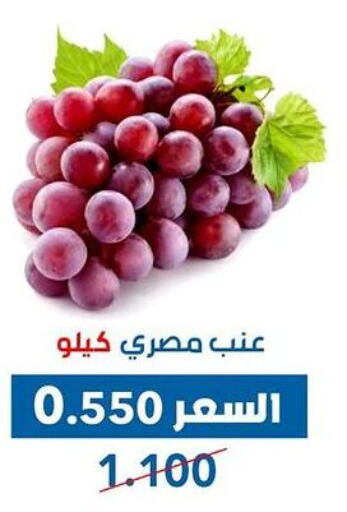  Grapes  in Dahiyat Abdullah Al Salem and Mansourieh Cooperative Society in Kuwait - Kuwait City