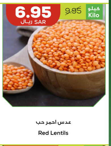    in أسواق أسترا in مملكة العربية السعودية, السعودية, سعودية - تبوك