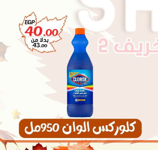 CLOROX منظف عام  in بندق ماركت in Egypt - القاهرة