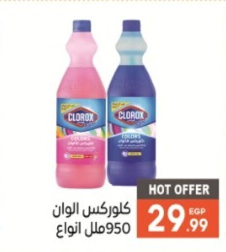 CLOROX منظف عام  in أولاد المحاوى in Egypt - القاهرة