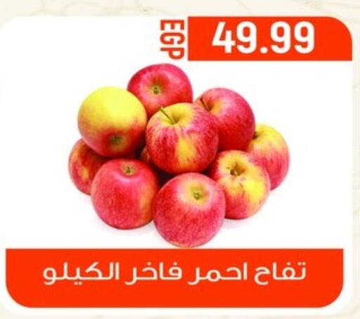  Apples  in أولاد المحاوى in Egypt - القاهرة