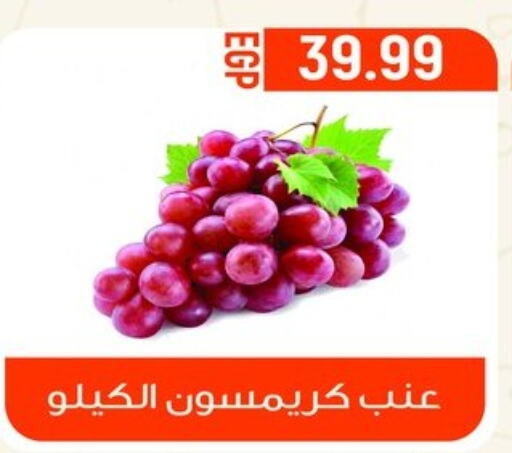  Grapes  in El mhallawy Sons in Egypt - Cairo