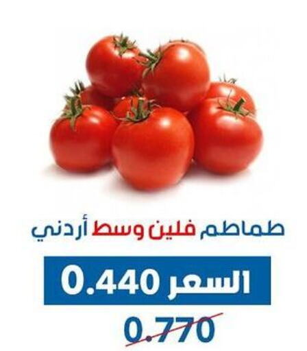  Tomato  in Dahiyat Abdullah Al Salem and Mansourieh Cooperative Society in Kuwait - Kuwait City