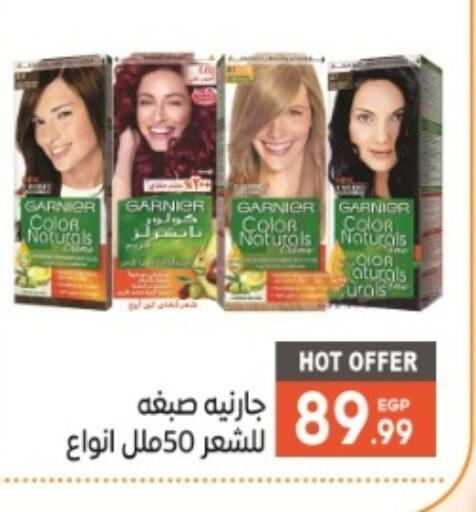 GARNIER   in أولاد المحاوى in Egypt - القاهرة