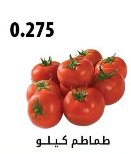  Tomato  in Hadiya CO-OP Society in Kuwait - Ahmadi Governorate