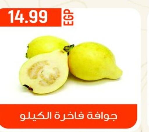  Guava  in El mhallawy Sons in Egypt - Cairo