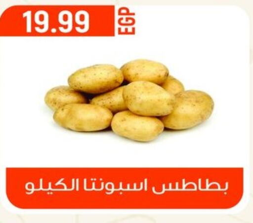  Potato  in أولاد المحاوى in Egypt - القاهرة