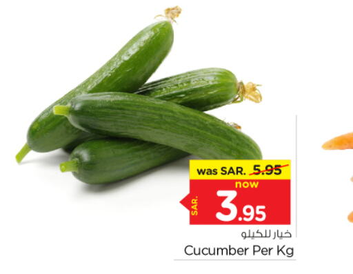  Cucumber  in Nesto in KSA, Saudi Arabia, Saudi - Buraidah