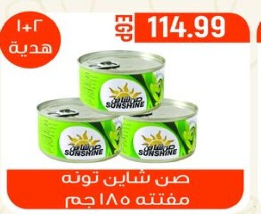  Tuna - Canned  in El mhallawy Sons in Egypt - Cairo