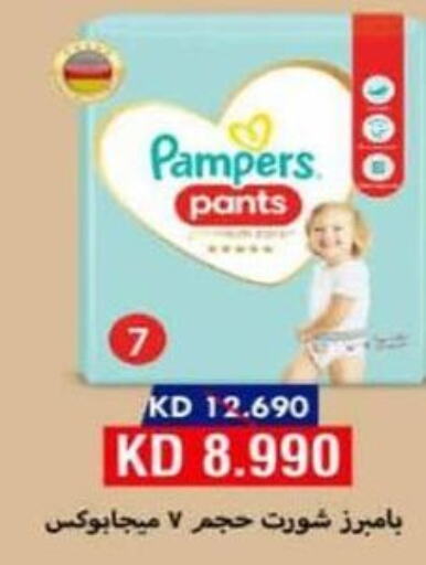 Pampers   in Al Masayel co-op  in Kuwait - Kuwait City