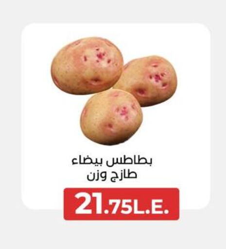  Potato  in عرفة ماركت in Egypt - القاهرة