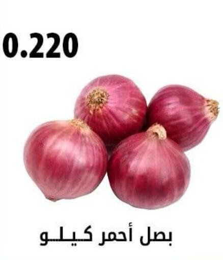  Onion  in Hadiya CO-OP Society in Kuwait - Ahmadi Governorate