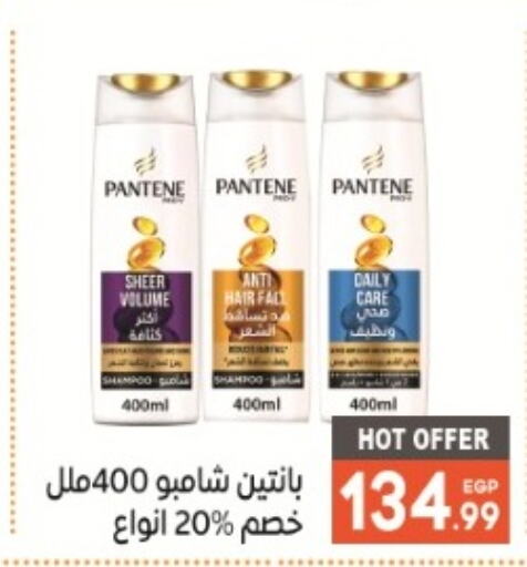 PANTENE شامبو / بلسم  in أولاد المحاوى in Egypt - القاهرة