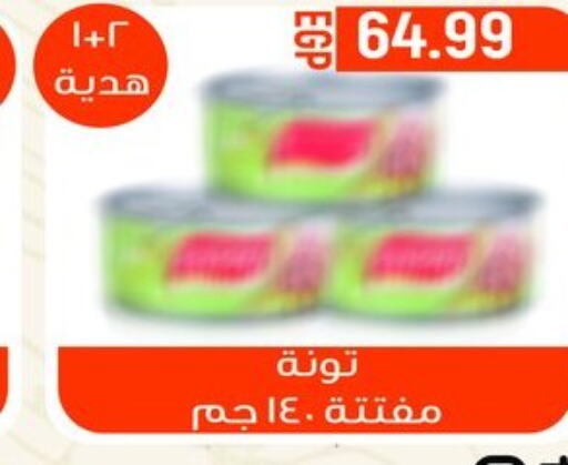  Tuna - Canned  in El mhallawy Sons in Egypt - Cairo