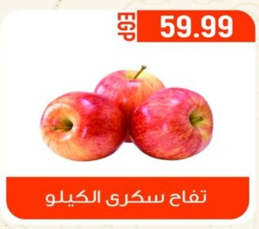  Apples  in أولاد المحاوى in Egypt - القاهرة