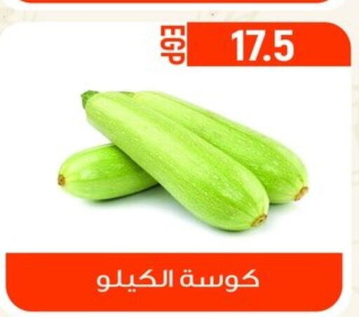  Zucchini  in أولاد المحاوى in Egypt - القاهرة