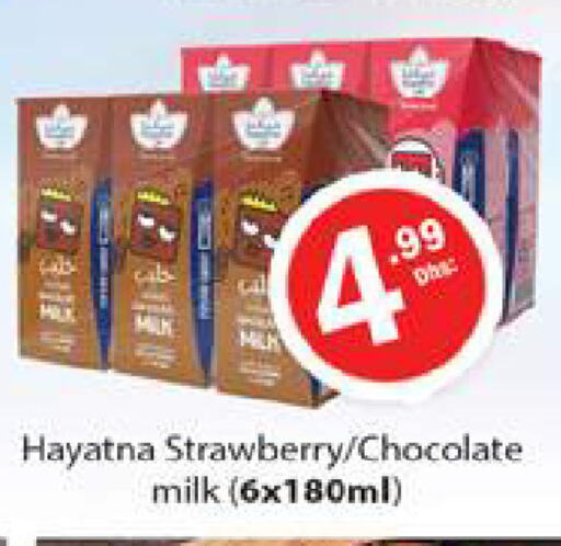 HAYATNA Flavoured Milk  in Gulf Hypermarket LLC in UAE - Ras al Khaimah